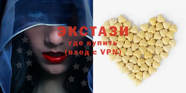 мдпв Краснослободск